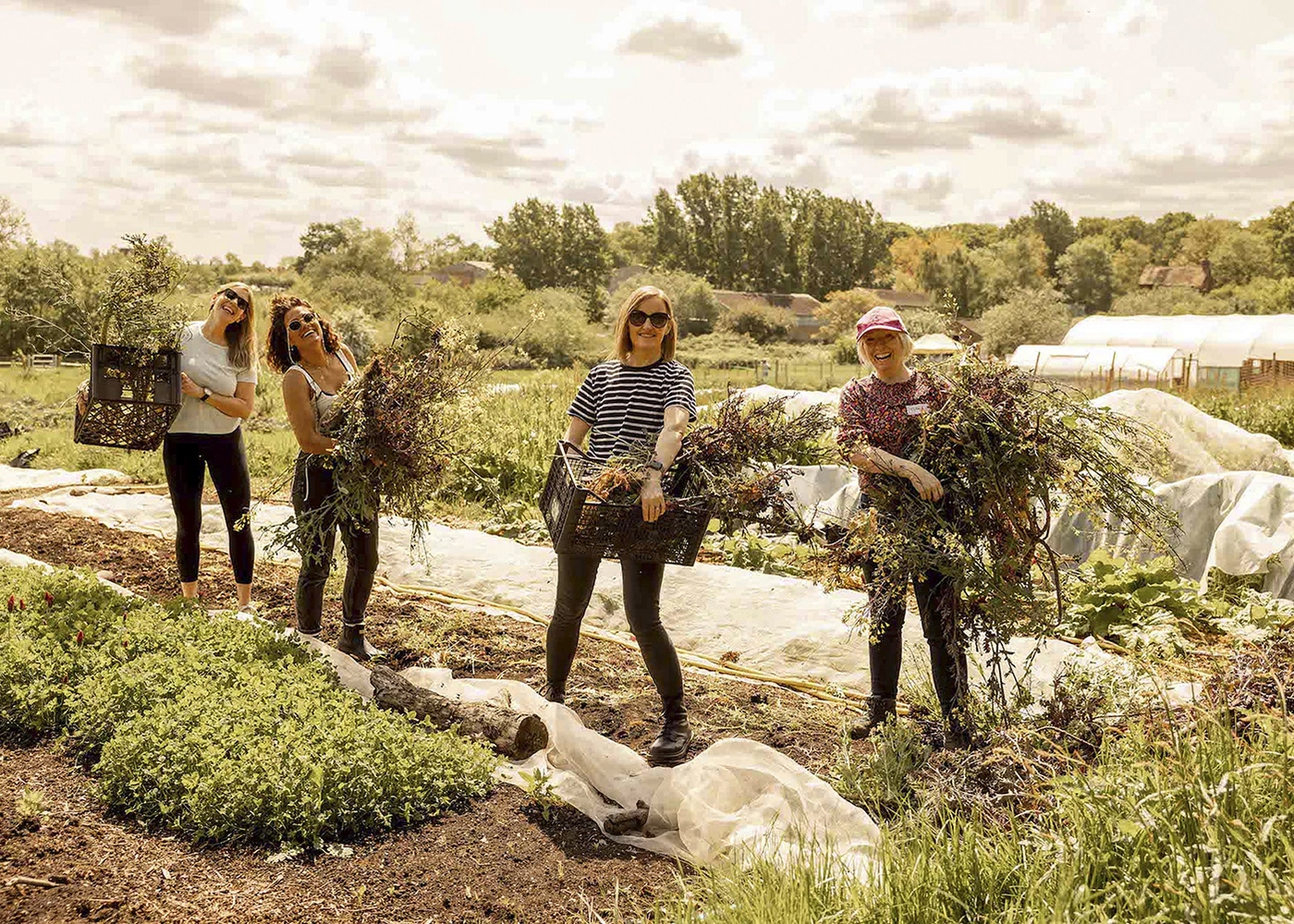 Volunteers at Sitopia Farm in Greenwich
