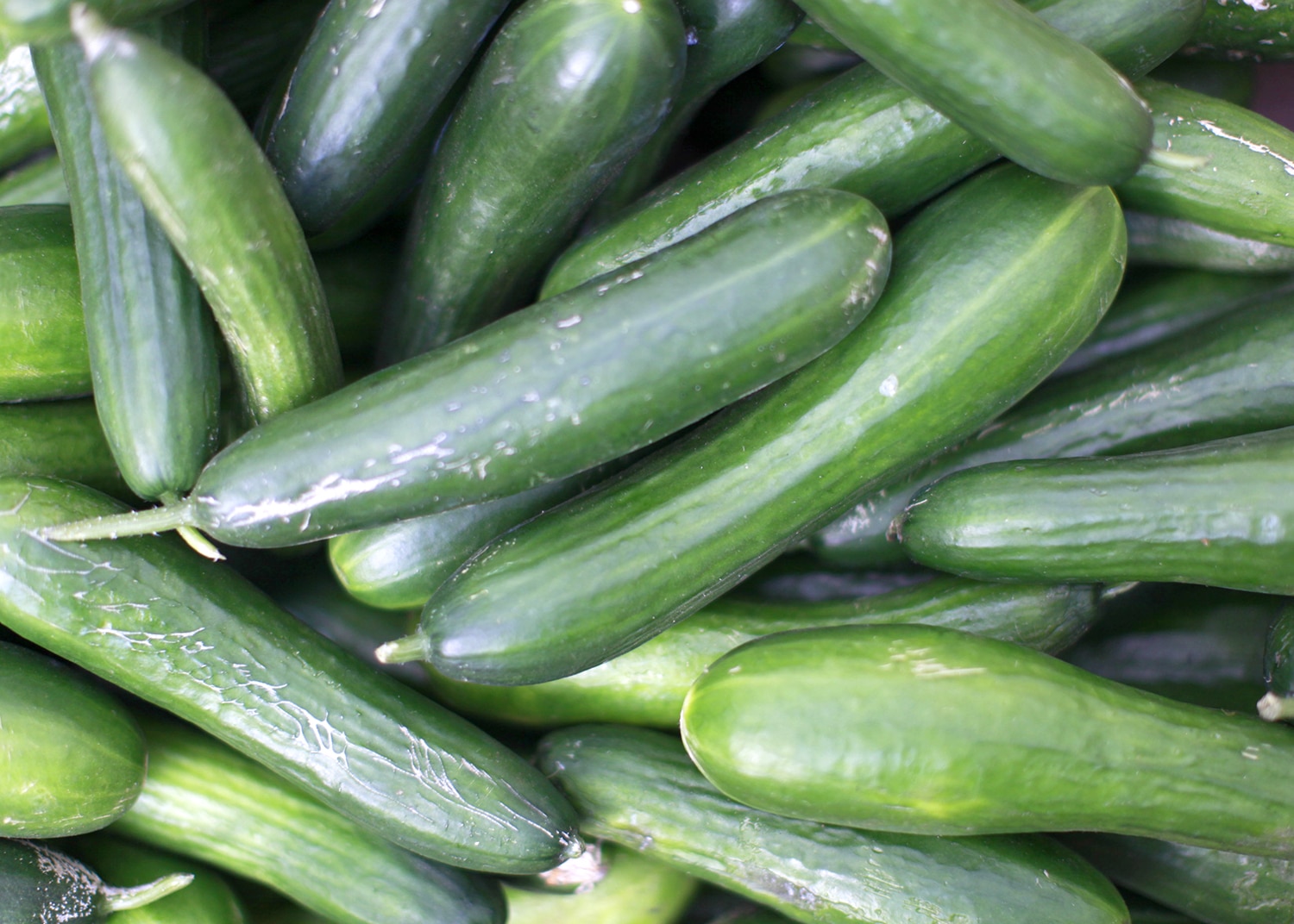A pile of cucumbers